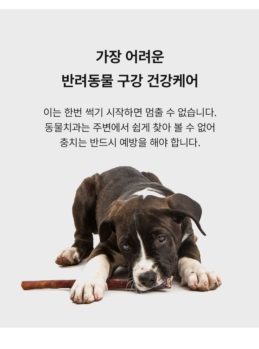 [무료배송] Dogh2o 강아지 고양이 구강케어 자동급수기 정수기 1.2리터 5번째