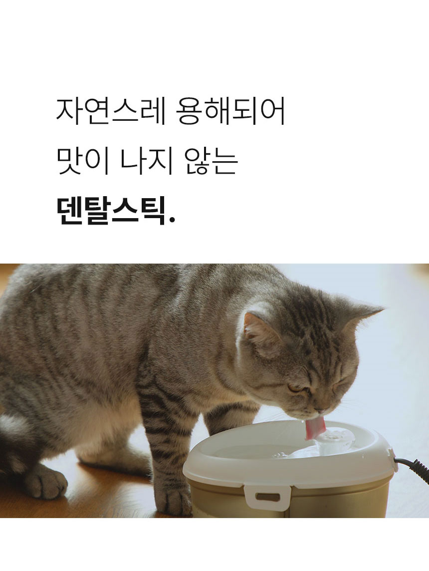 [무료배송] Dogh2o 강아지 고양이 구강케어 자동급수기 정수기 1.2리터 12번째