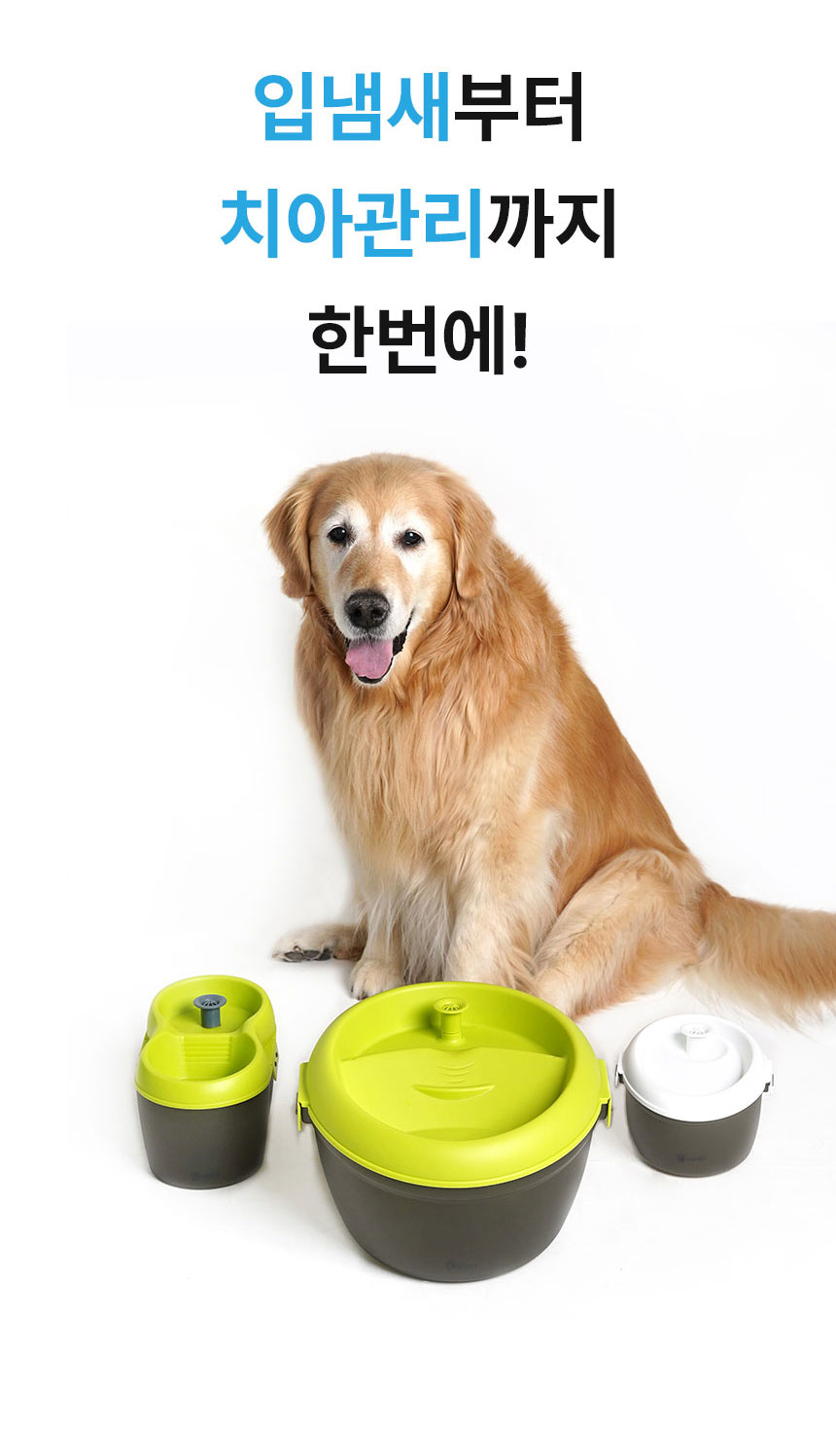 [무료배송] Dogh2o 강아지 고양이 구강케어 자동급수기 정수기 1.2리터 3번째