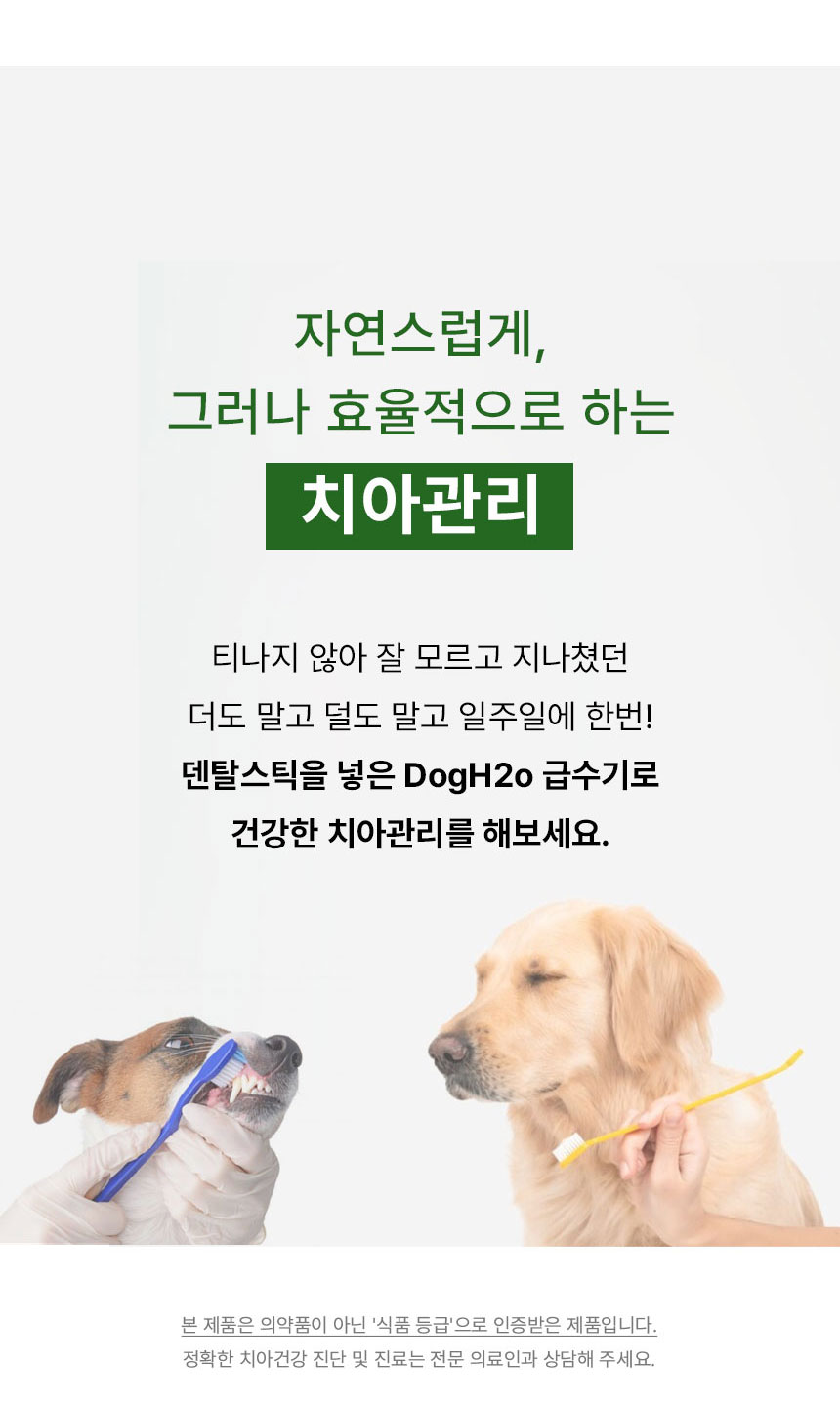 [무료배송] Dogh2o 강아지 고양이 구강케어 자동급수기 정수기 1.2리터 10번째