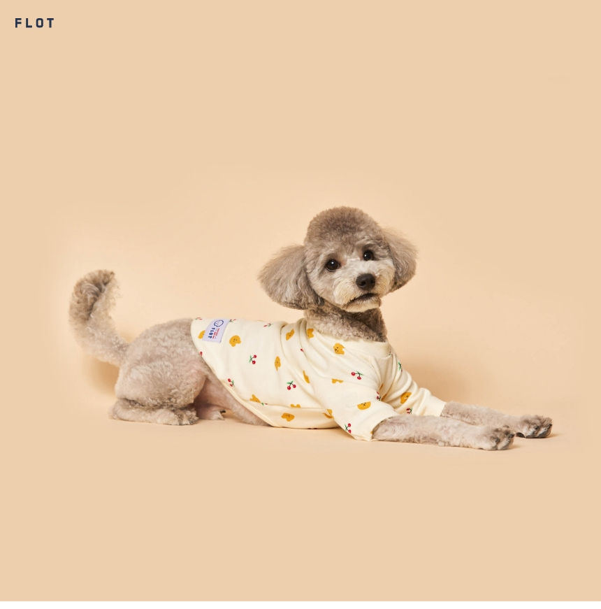 [NEW신상][무료배송] 플로트 체리티셔츠 2컬러 (S-2XL) 5번째