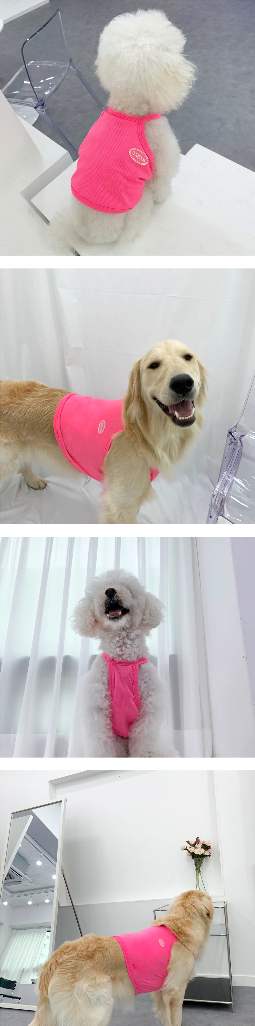 [무료배송] 바크독 기능성 형광 쿨 크롭티 3color M-6XL 7번째