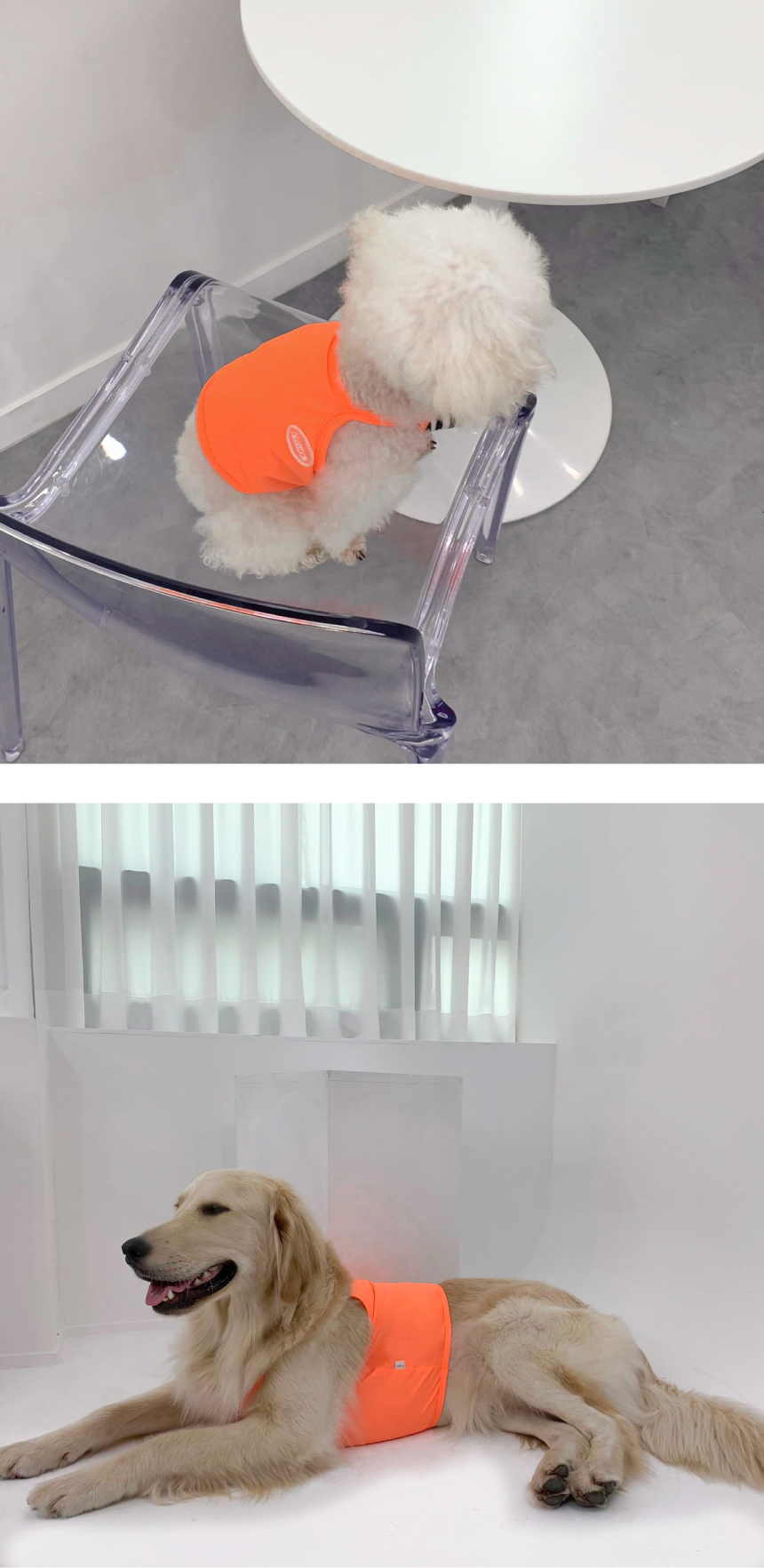 [무료배송] 바크독 기능성 형광 쿨 크롭티 3color M-6XL 9번째