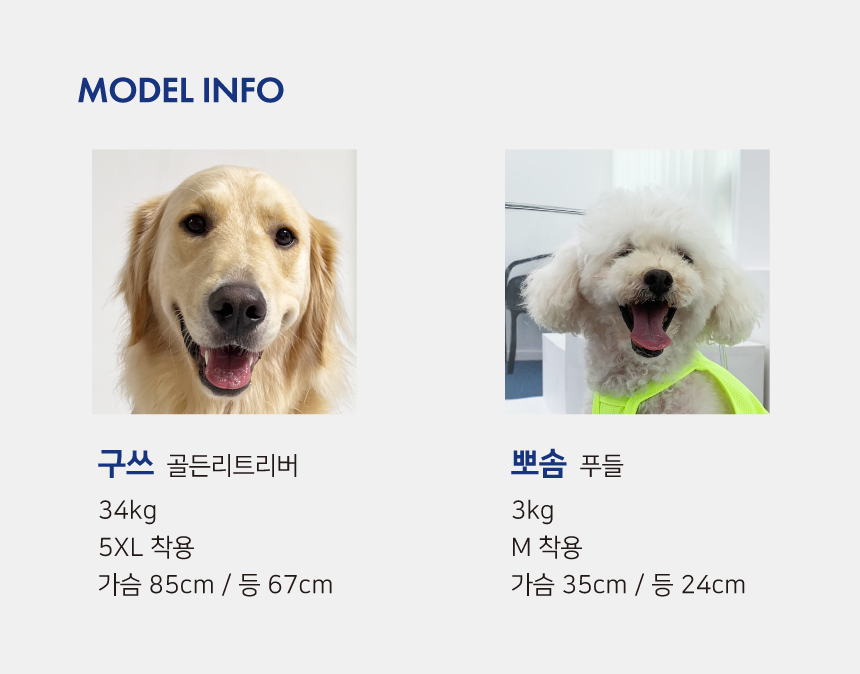 [무료배송] 바크독 기능성 형광 쿨 크롭티 3color M-6XL 12번째