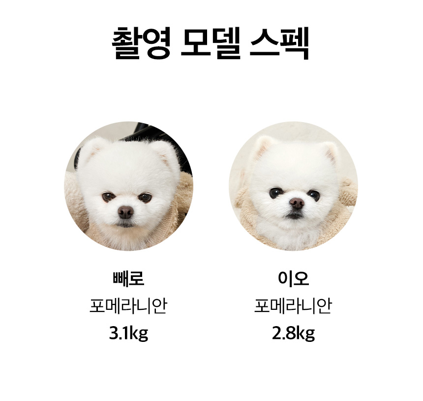 [무료배송] 페리가토 커버분리형 솜 쿠션 방석매트 24번째
