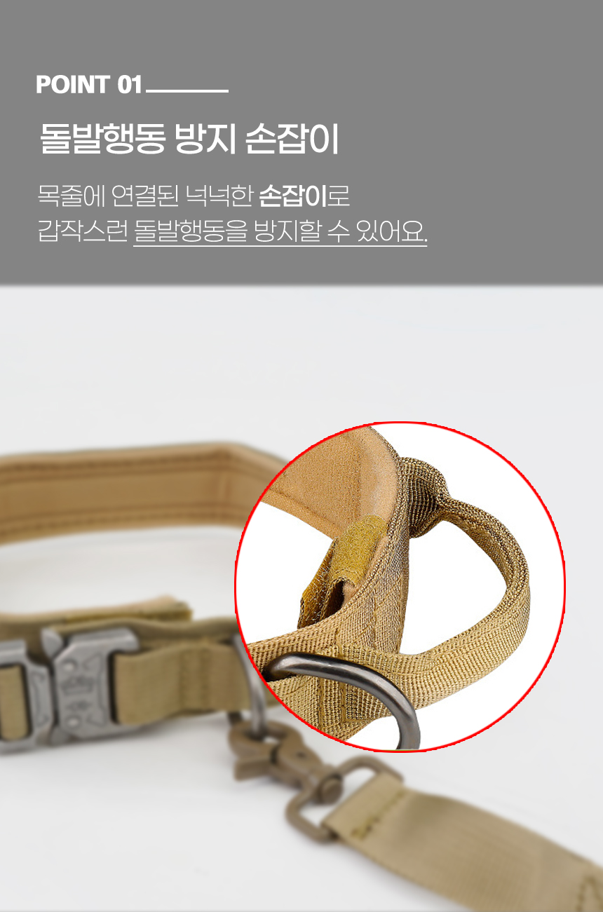 [NEW신상][무료배송] 개과천선 독 브레이브 목줄 리드줄 (블랙/베이지) 7번째