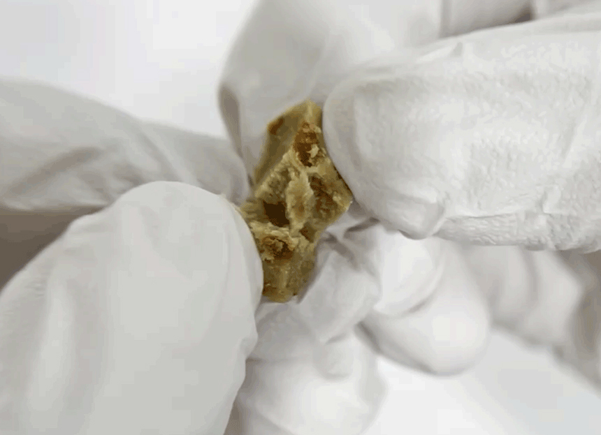 [체험단] 펫토리아 한끼뚝딱 독 황태&소고기 200g (50g*4개) 20번째