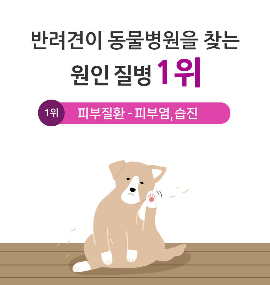 [무료배송] 하이비오 독 인섹트 영양제 피모 90g 4번째
