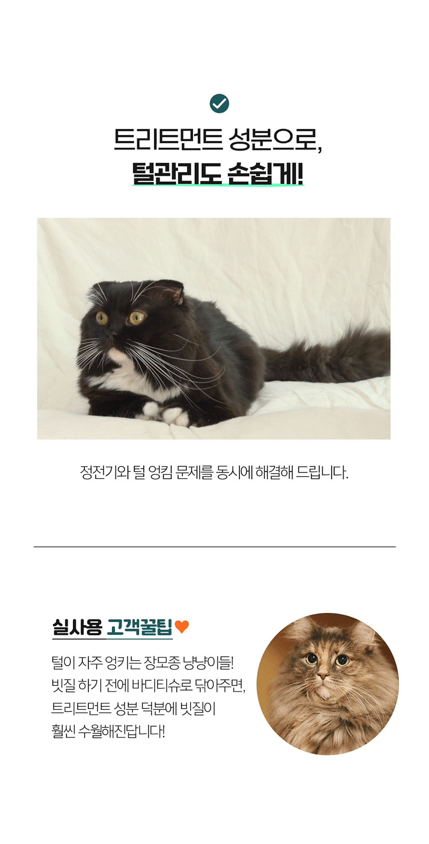 [NEW신상][무료배송] 페피릴리프 고양이 대나무 바디티슈 5팩 21번째