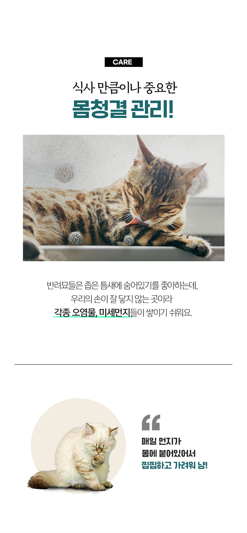 [NEW신상][무료배송] 페피릴리프 고양이 대나무 바디티슈 5팩 5번째