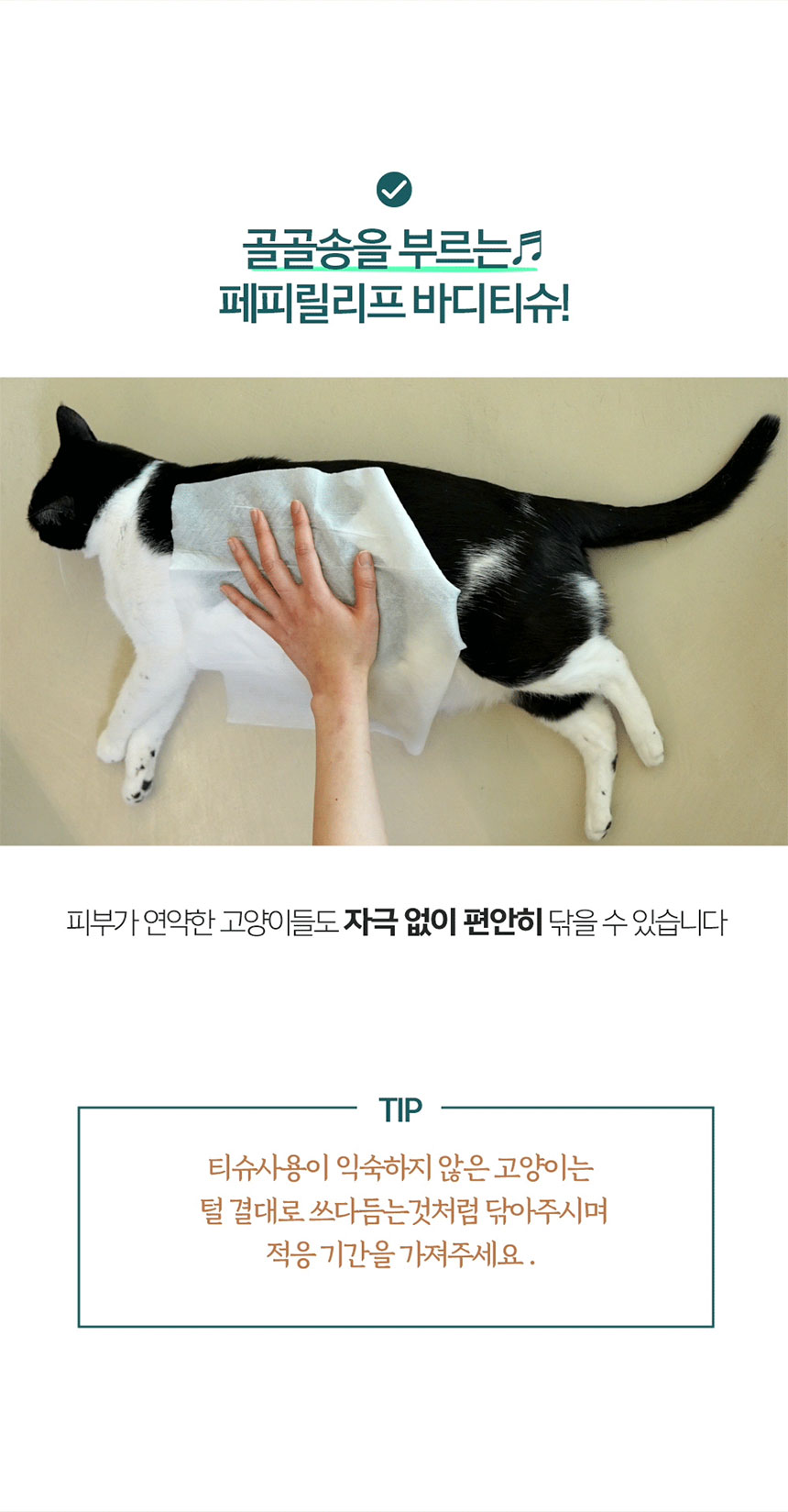 [NEW신상][무료배송] 페피릴리프 고양이 대나무 바디티슈 5팩 12번째