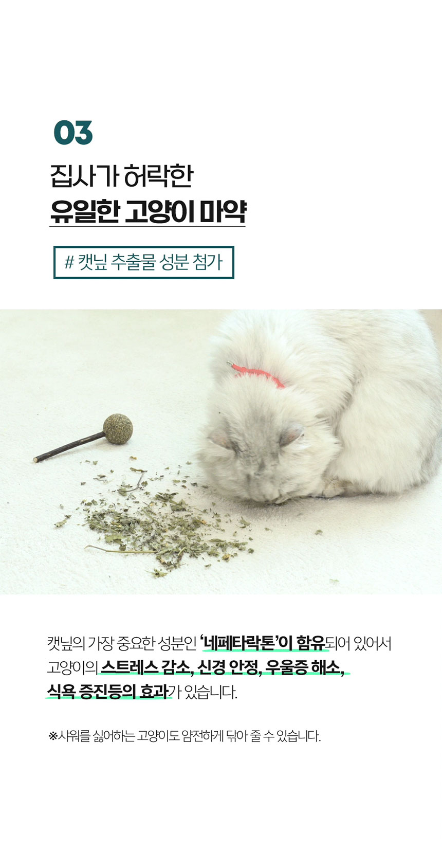 [NEW신상][무료배송] 페피릴리프 고양이 대나무 바디티슈 5팩 17번째