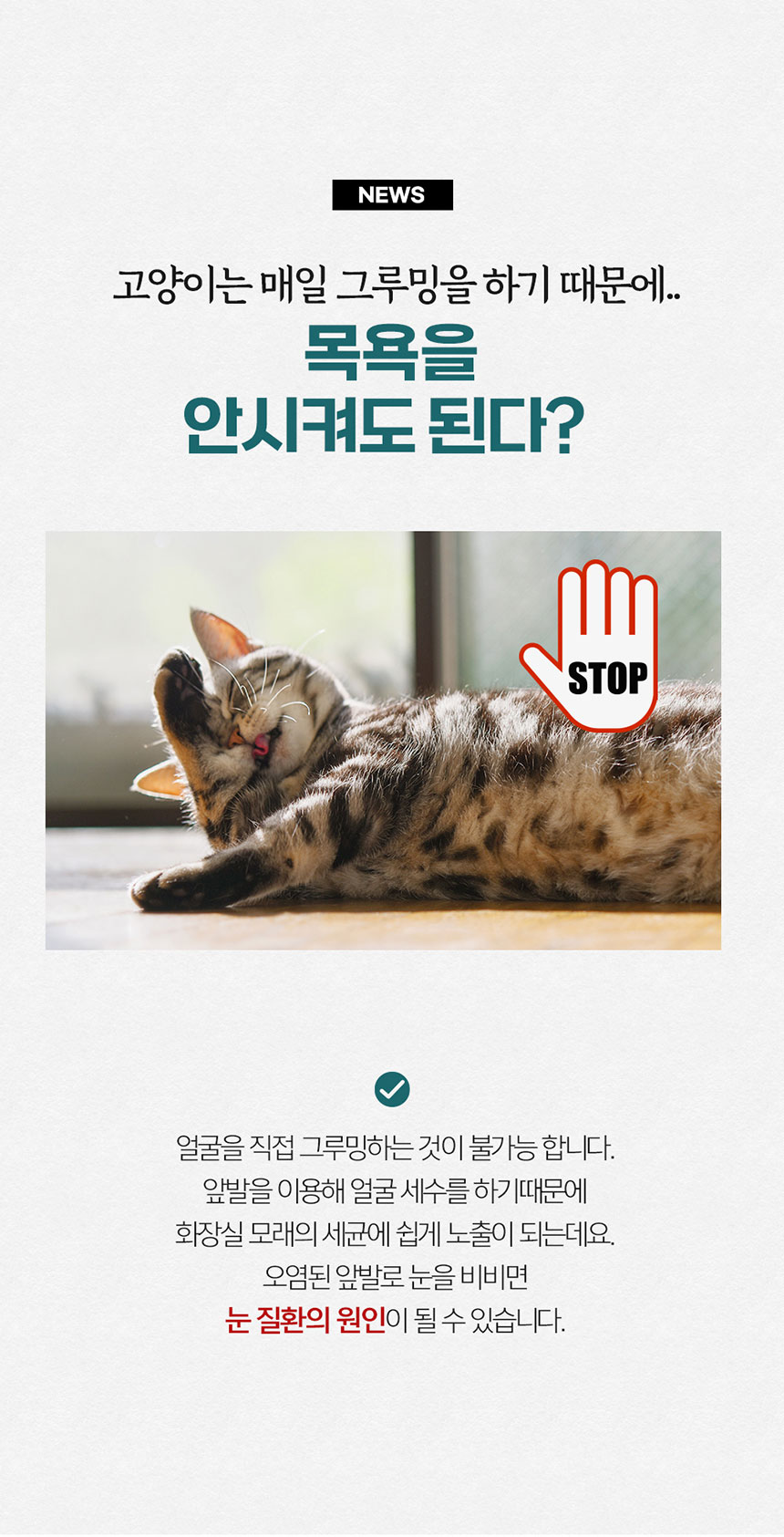 [NEW신상][무료배송] 페피릴리프 고양이 대나무 바디티슈 5팩 6번째