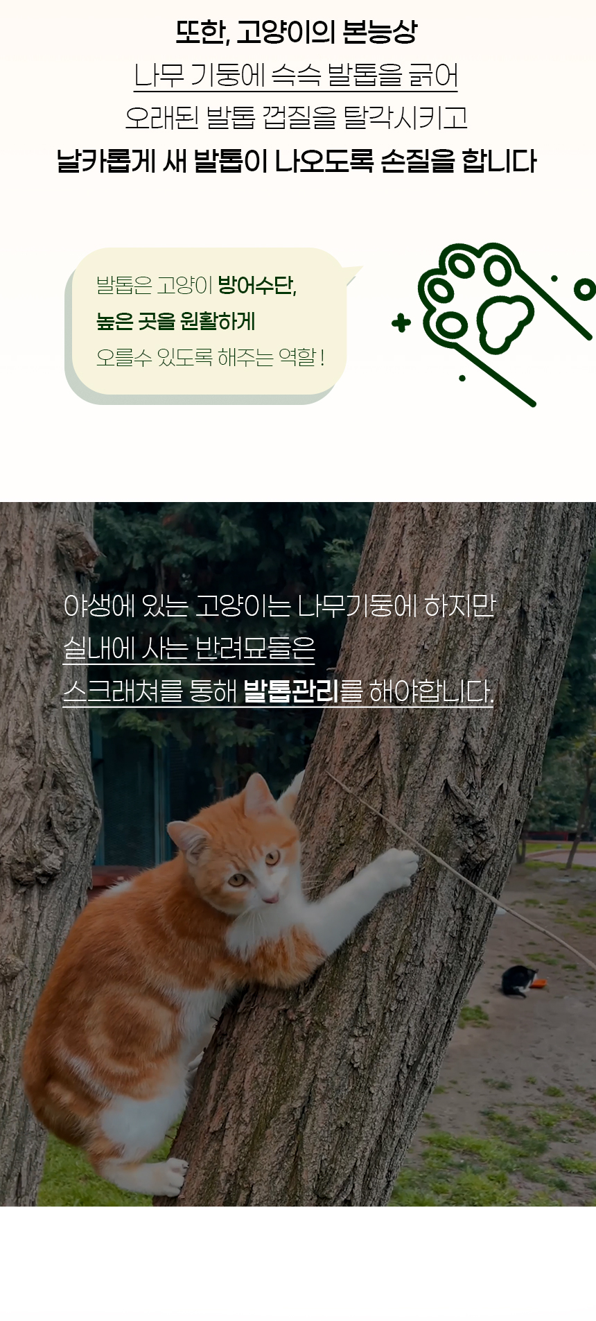 [NEW신상][무료배송] 개과천선 캣 캐슬 스크래쳐 [리필용 포함] 4번째