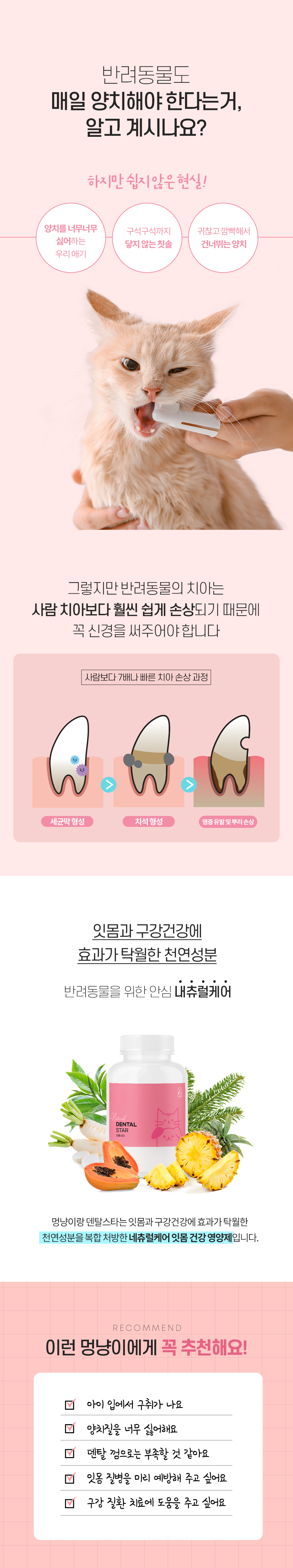 [무료배송] 멍냥이랑 덴탈스타 반려동물 구강 영양제 60g 3번째