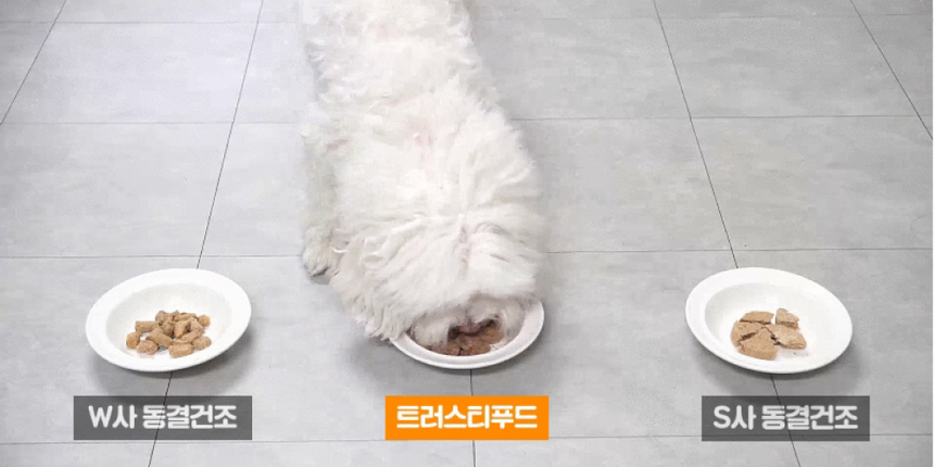[무료배송] 트러스티푸드 동결건조 사료 비프패티 350g 5번째