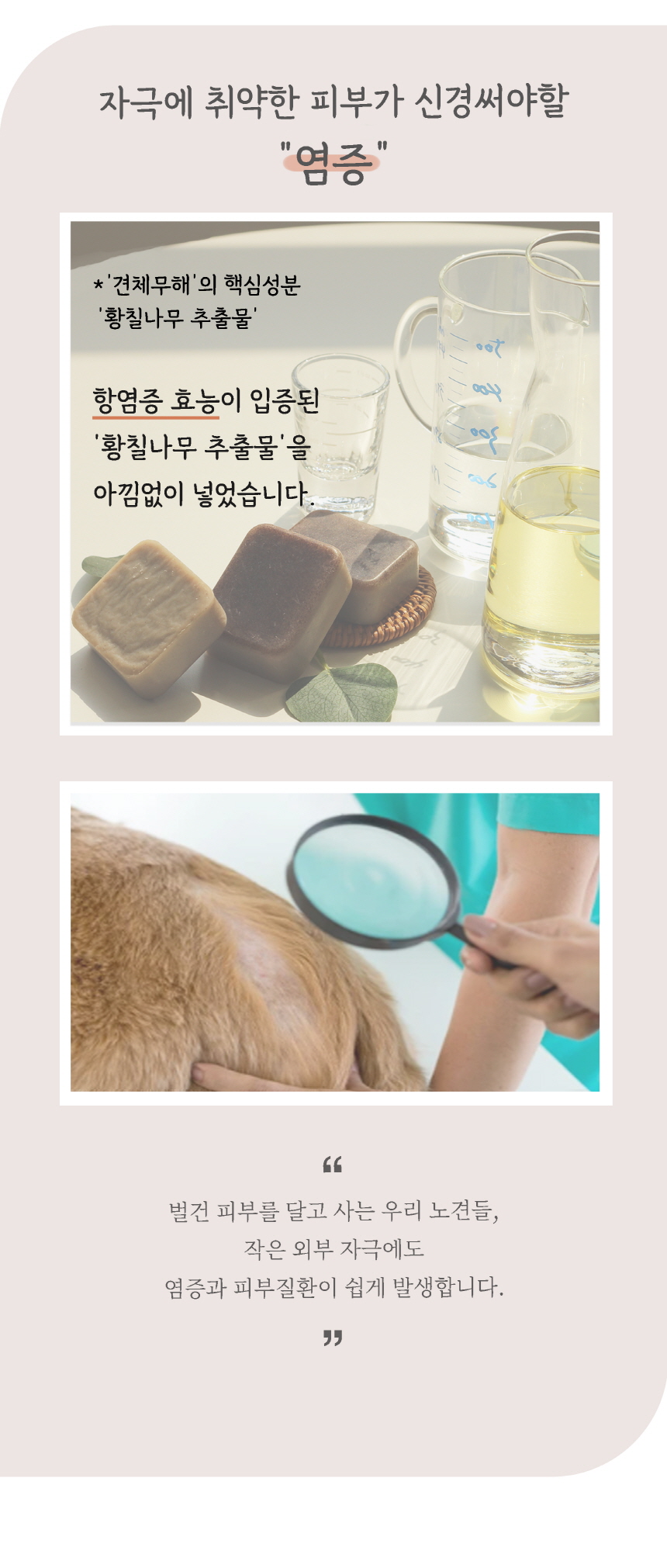 견체무해 독 정말순한 노견피부용 강아지 천연 비누 수제 샴푸바 2개입 17번째