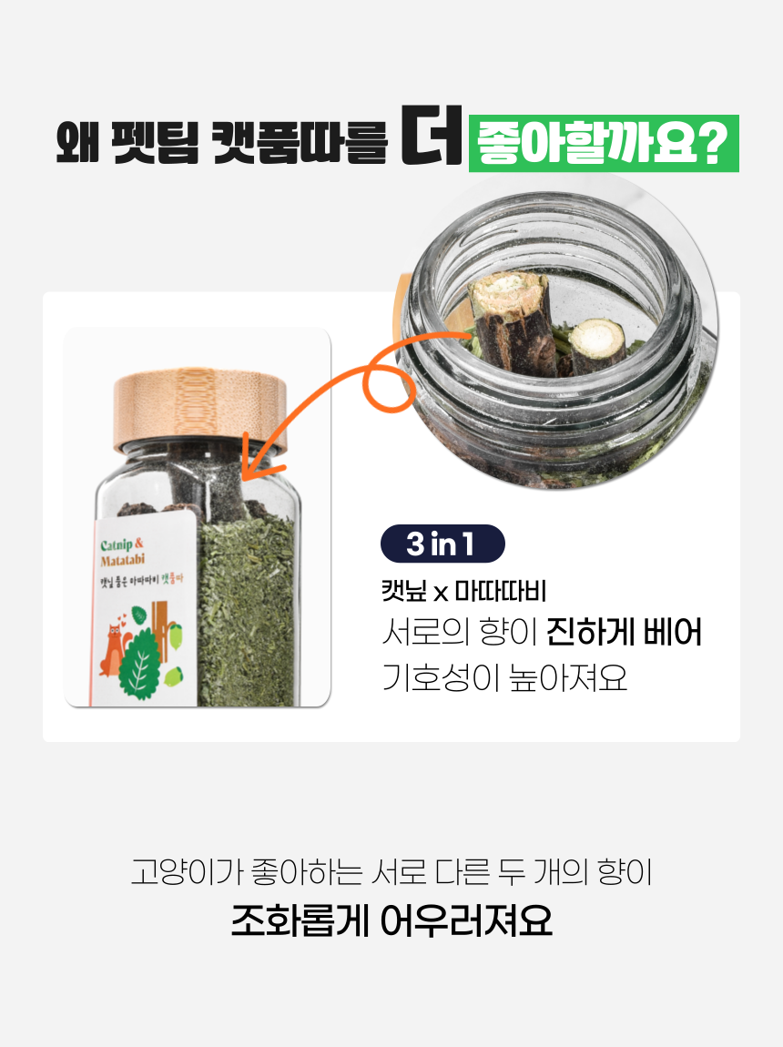 펫팀 캣닢 품은 마따따비 캣품따/캣닢가득 8번째