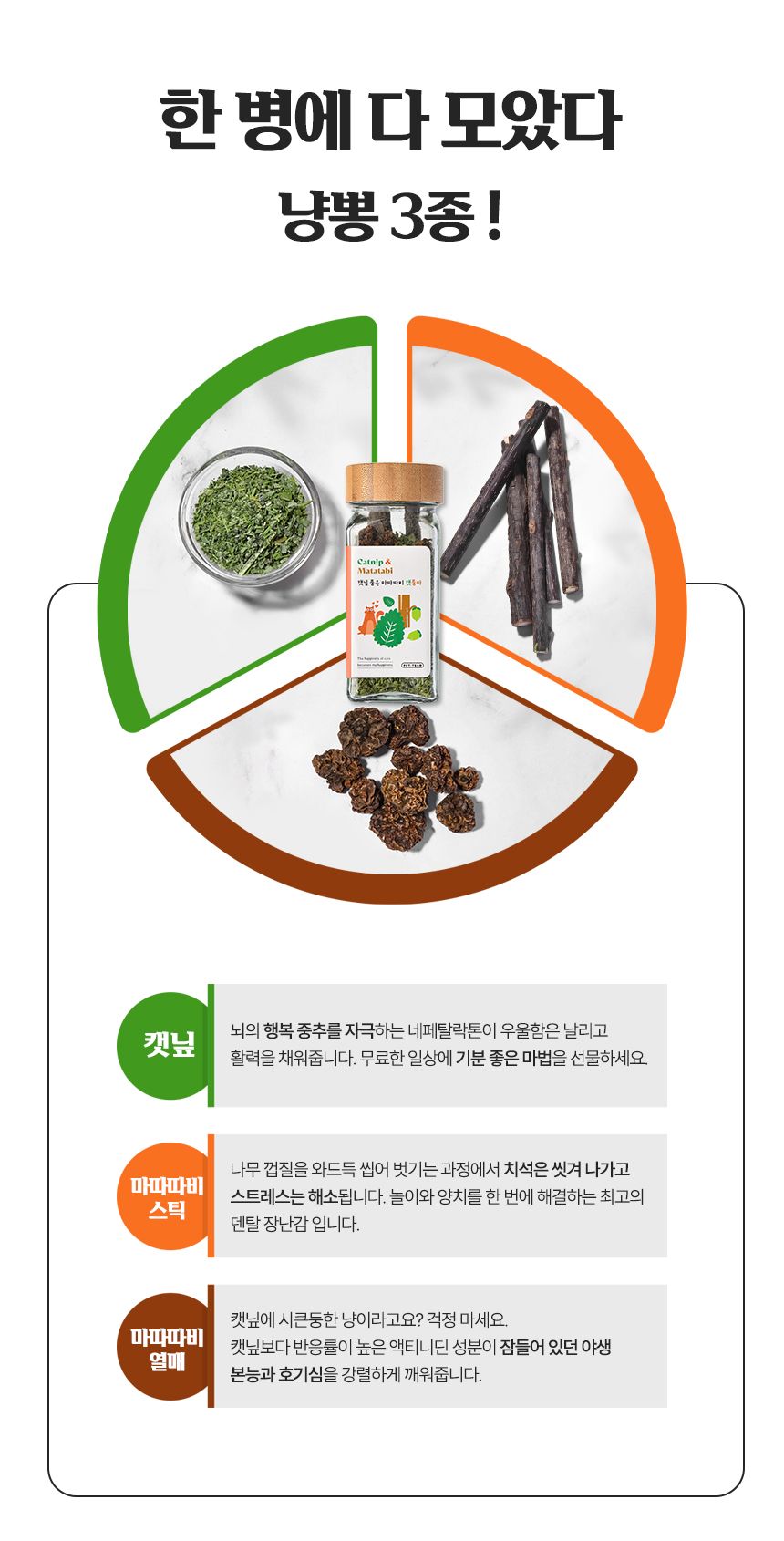 펫팀 캣닢 품은 마따따비 캣품따/캣닢가득 5번째 상세 이미지