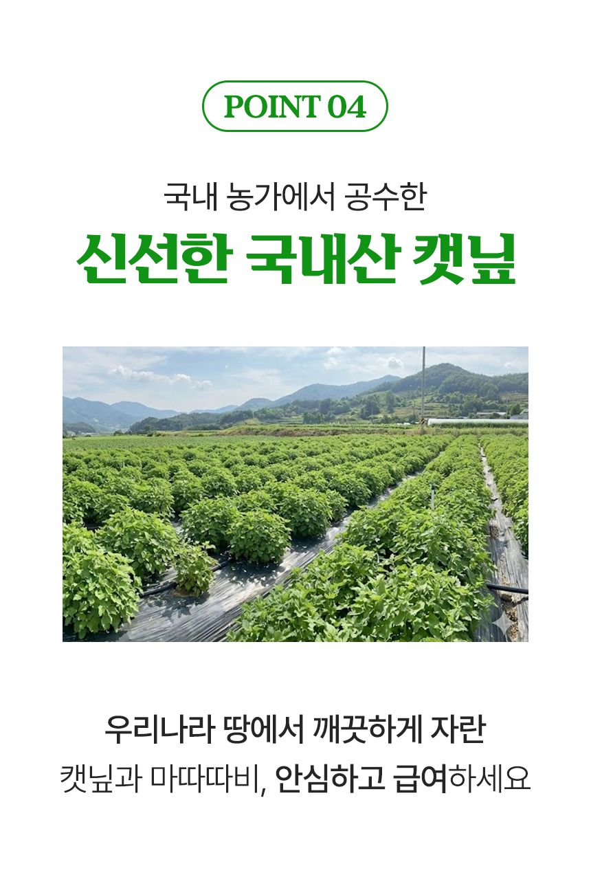 펫팀 캣닢 품은 마따따비 캣품따/캣닢가득 8번째 상세 이미지