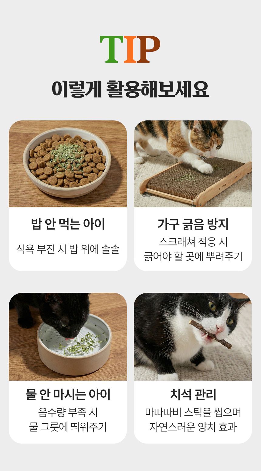 펫팀 캣닢 품은 마따따비 캣품따/캣닢가득 9번째 상세 이미지