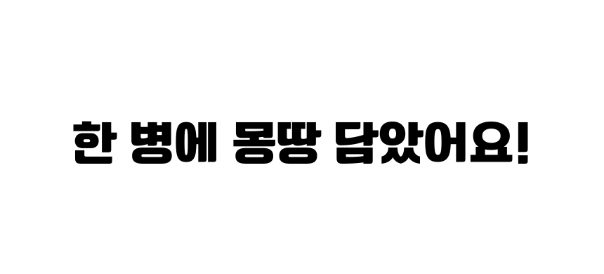 펫팀 캣닢 품은 마따따비 캣품따/캣닢가득 2번째