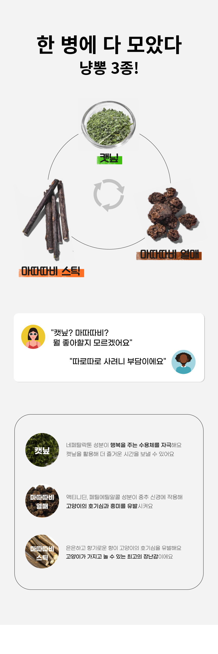 펫팀 캣닢 품은 마따따비 캣품따/캣닢가득 9번째
