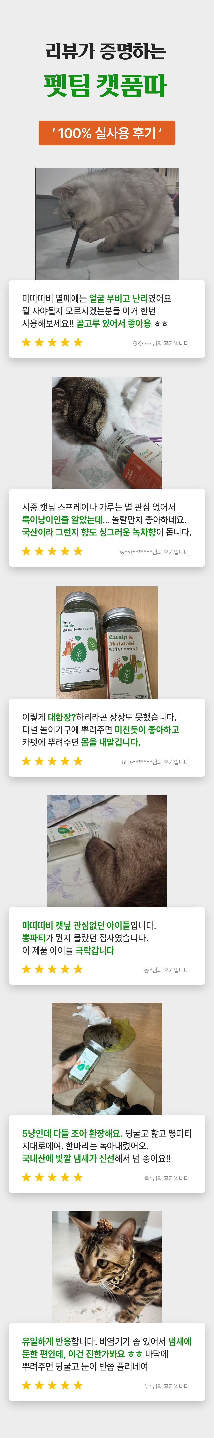 펫팀 캣닢 품은 마따따비 캣품따/캣닢가득 3번째 상세 이미지