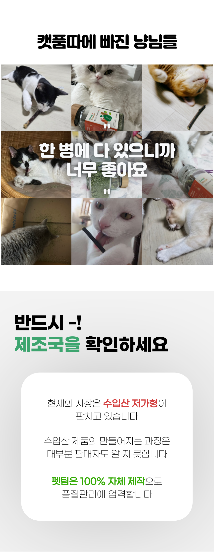 펫팀 캣닢 품은 마따따비 캣품따/캣닢가득 7번째