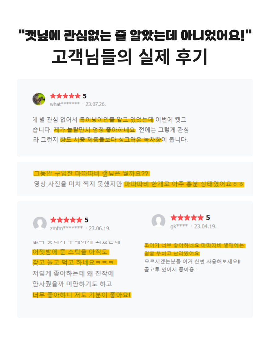 펫팀 캣닢 품은 마따따비 캣품따/캣닢가득 12번째