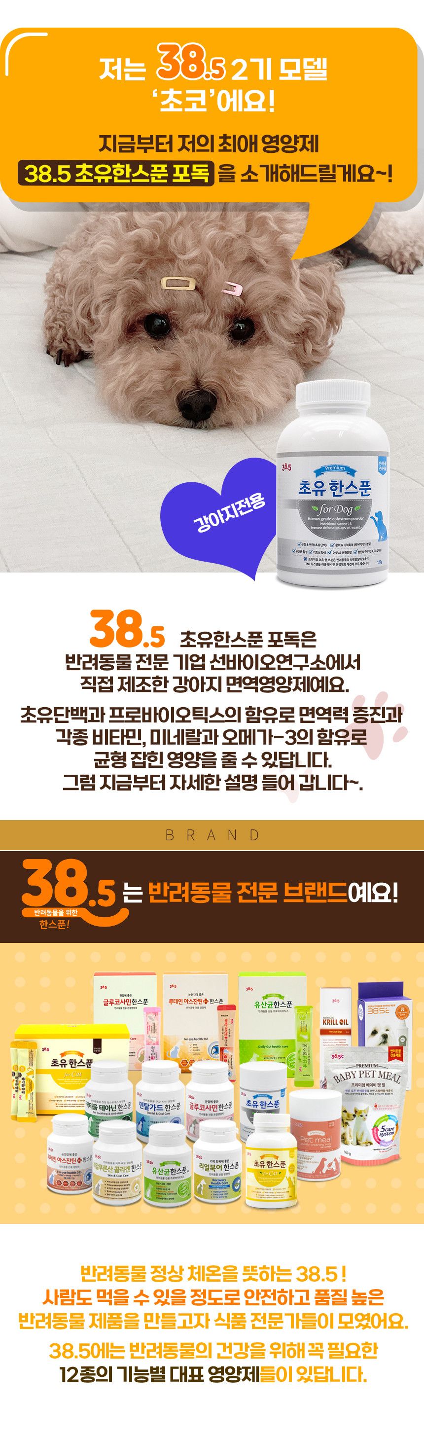 [유통기한임박, 25년5월21일] 38.5 독 초유한스푼 120g 2번째