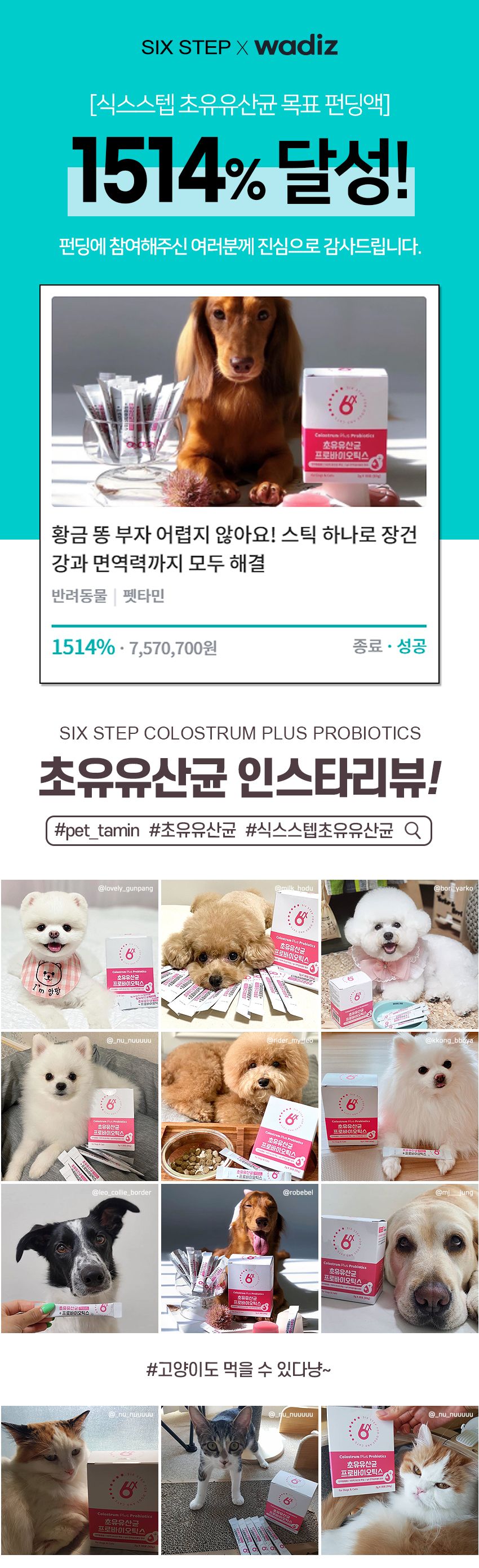 식스스텝 초유 유산균 프로바이오틱스 2g*30p 1번째