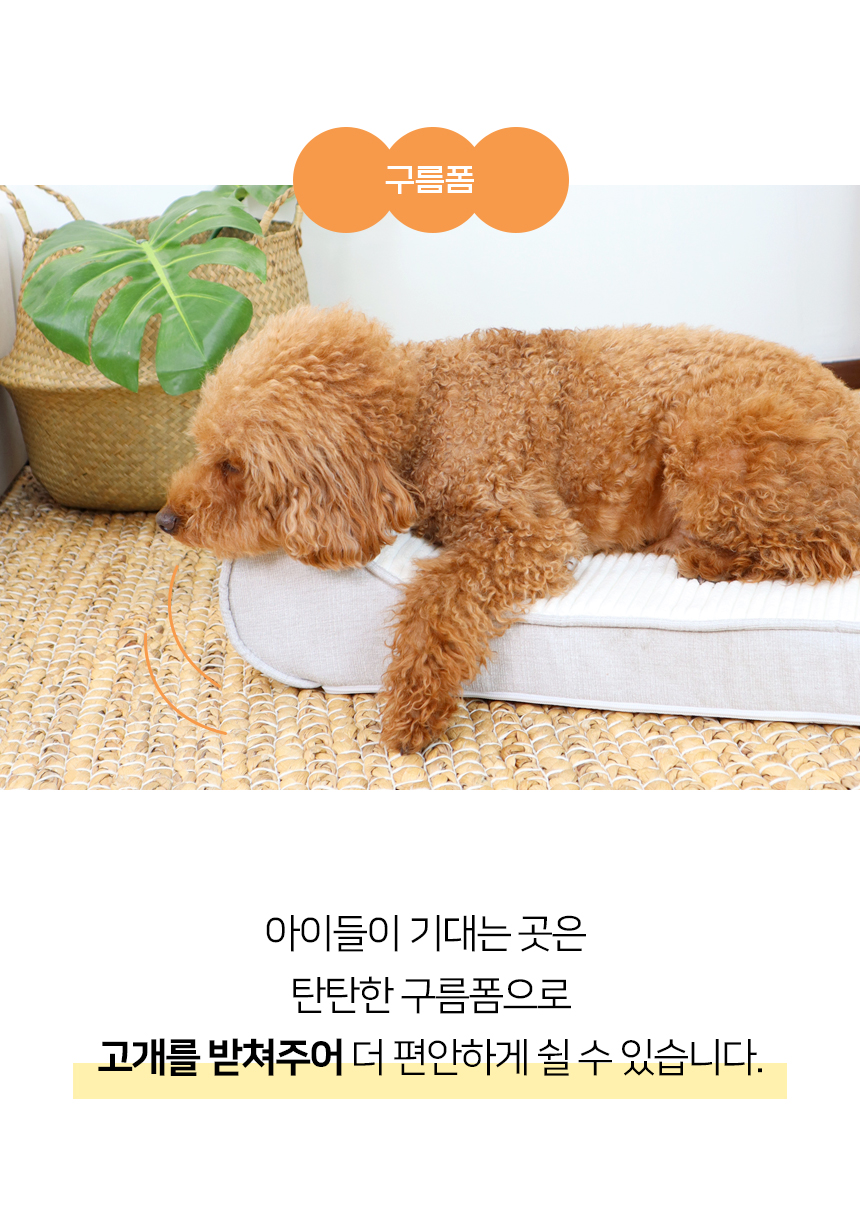 [NEW신상][무료배송] 개과천선 로이 반려동물 방석 (아이보리/다크그레이) 6번째