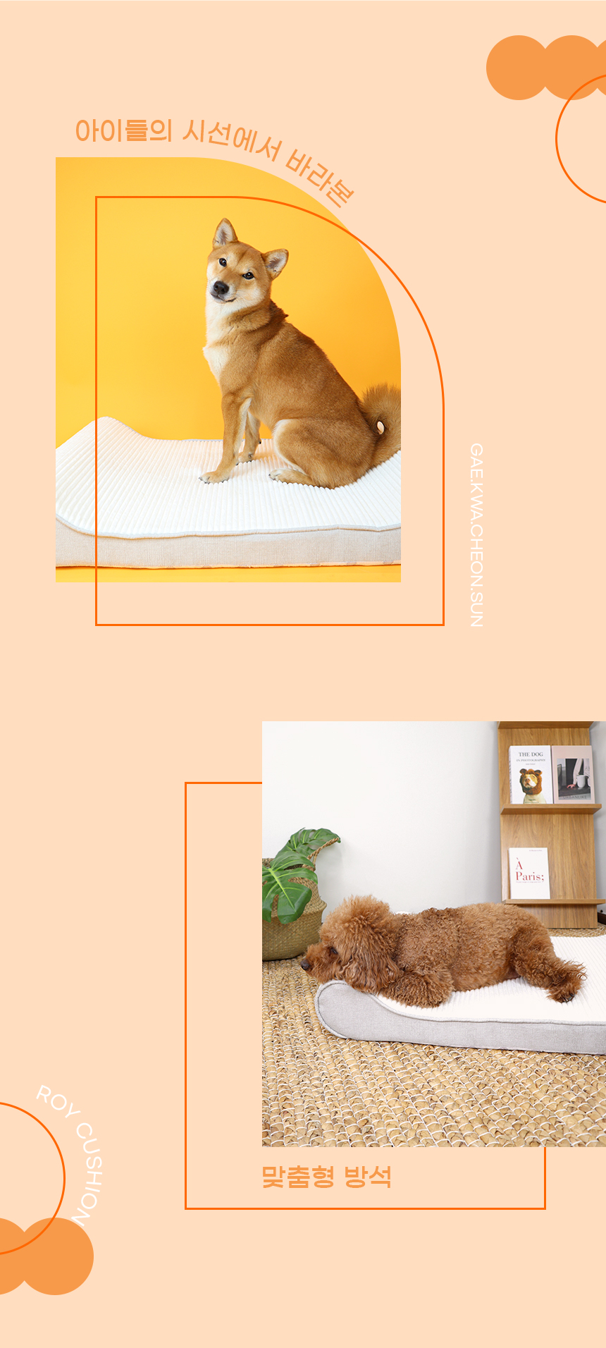 [NEW신상][무료배송] 개과천선 로이 반려동물 방석 (아이보리/다크그레이) 3번째