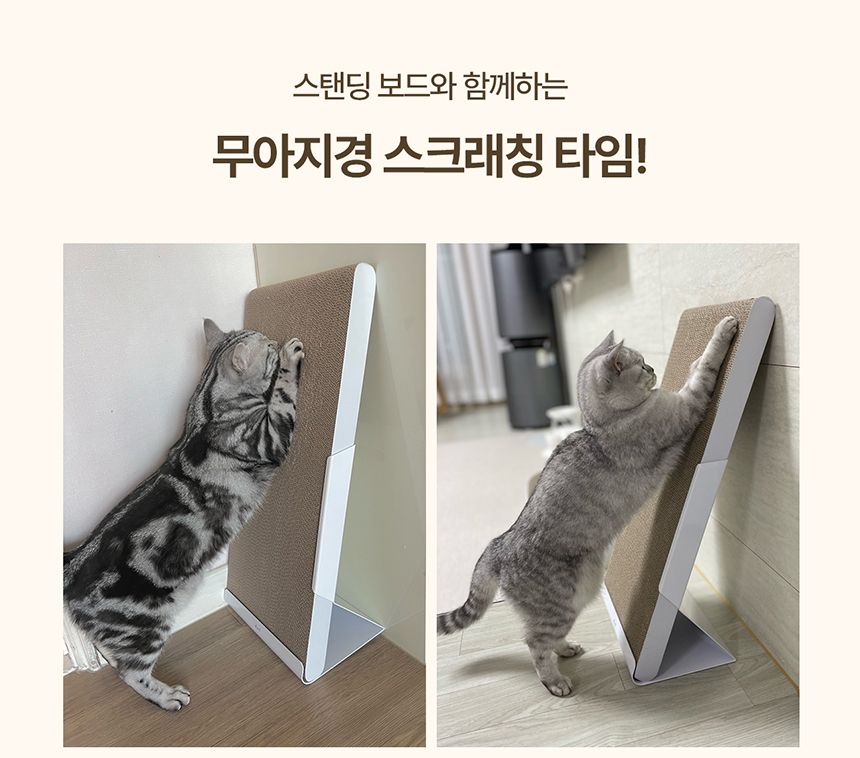 [무료배송] 두잇 수직 스크래쳐 스탠딩보드 1번째