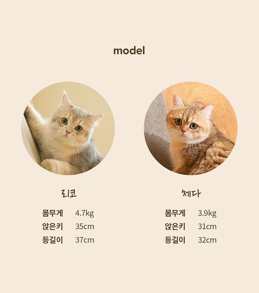 [무료배송] 두잇 수직 스크래쳐 스탠딩보드 15번째