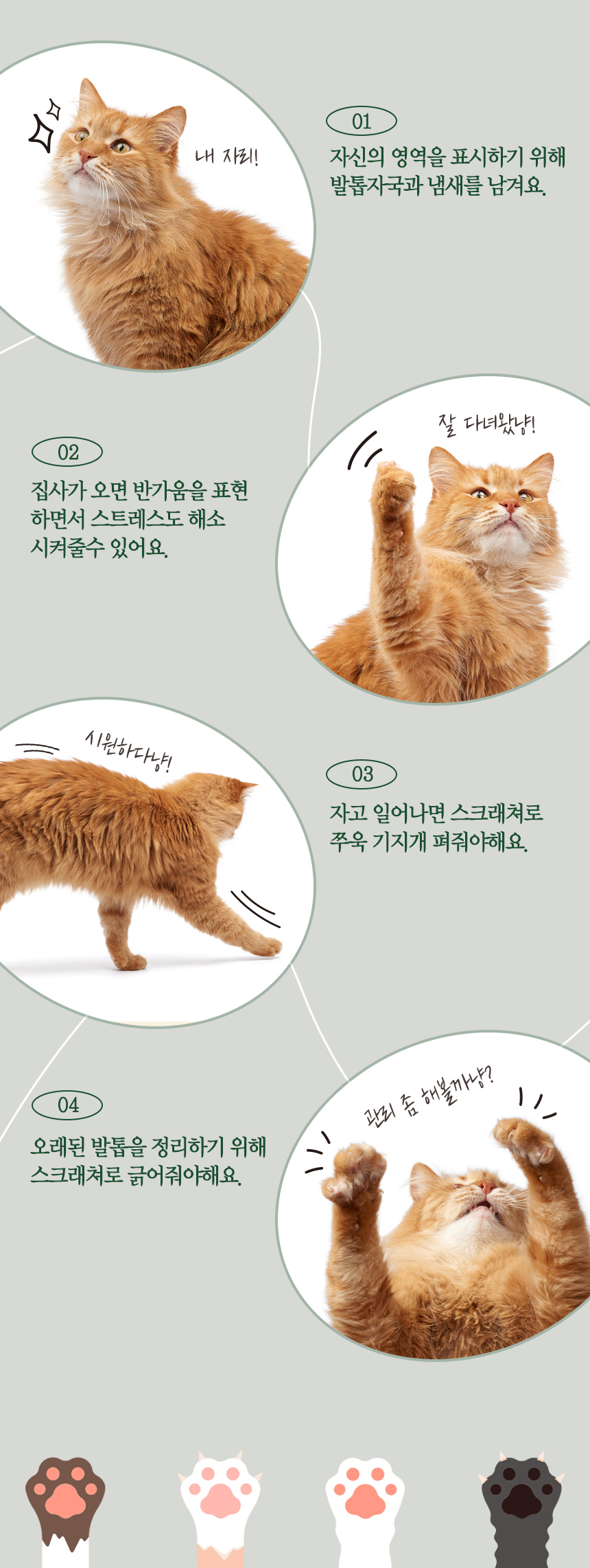 [무료배송] 펫토리아 GP 카펫 스텐드 선인장 스크래쳐 6번째