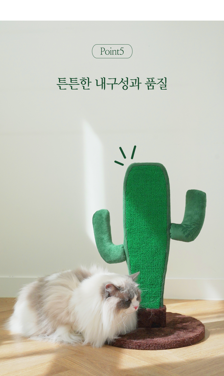[무료배송] 펫토리아 GP 카펫 스텐드 선인장 스크래쳐 14번째
