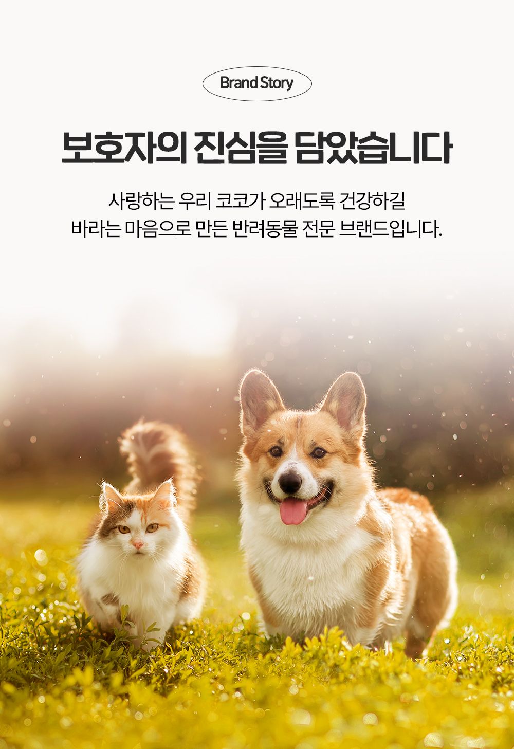 [무료배송] 코코다움 독 다이어트 영양 다시 날씬 스틱 15g*28p 1번째