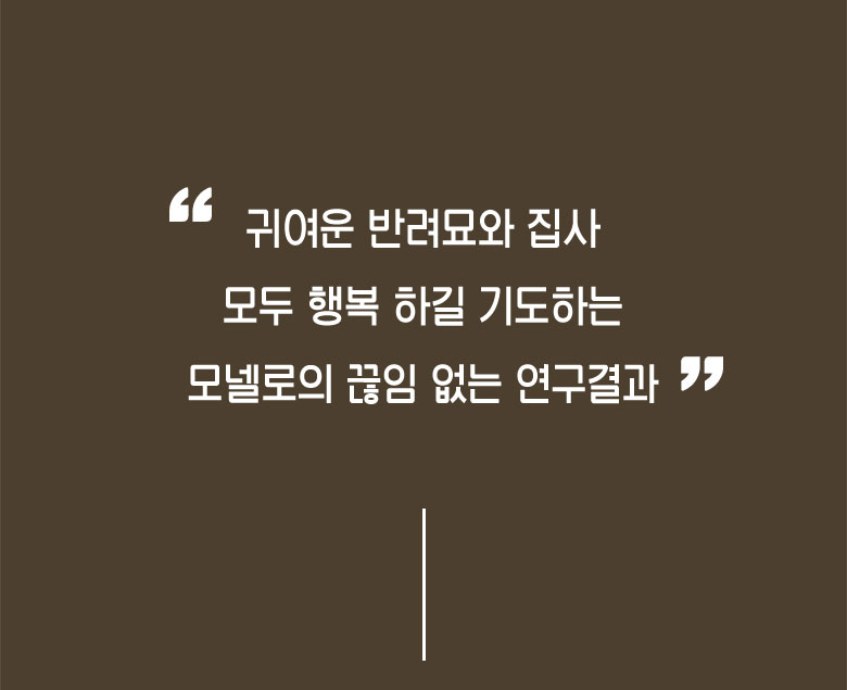 [무료배송] 모넬로 아트냥 창문 캣타워 고양이 수직 벽부착 스크래쳐 1200 화이트 DO23045 5번째