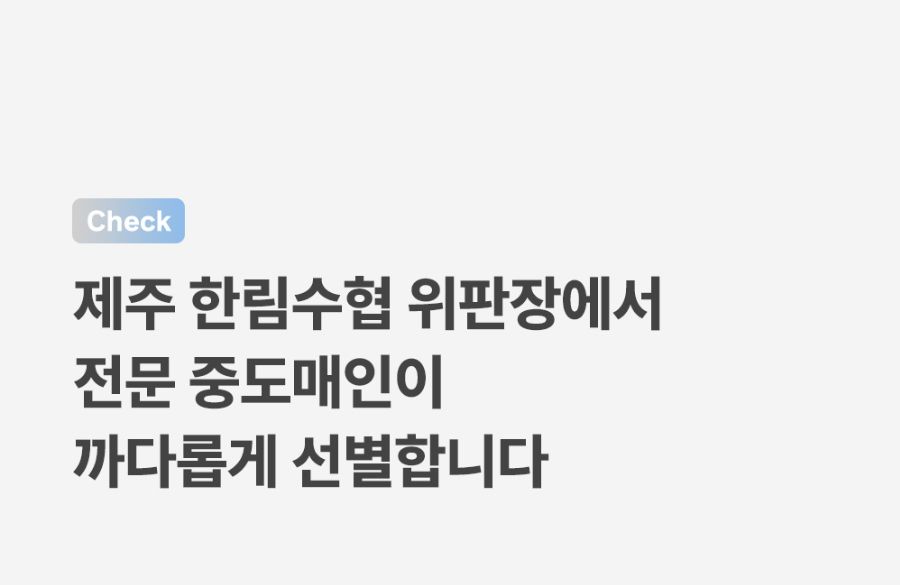 [NEW신상]조공 나 갈치 좋아해 15g*4p 15번째