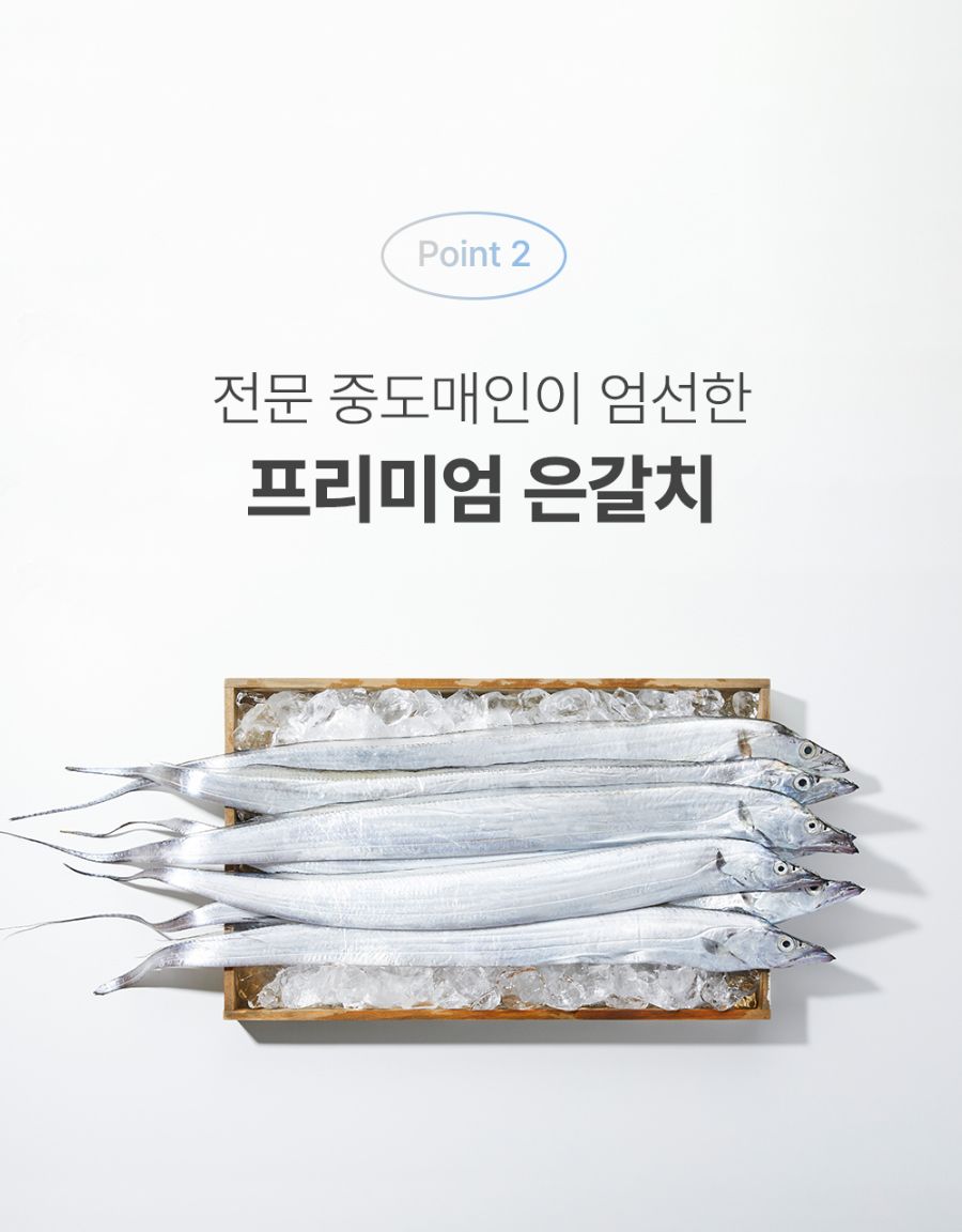 [NEW신상]조공 나 갈치 좋아해 15g*4p 16번째