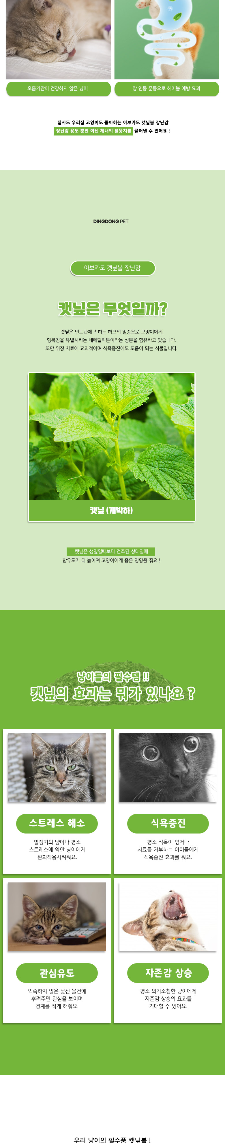 [무료배송] 딩동펫 고양이 아보카도 캣닢볼 장난감 2p 세트 2번째