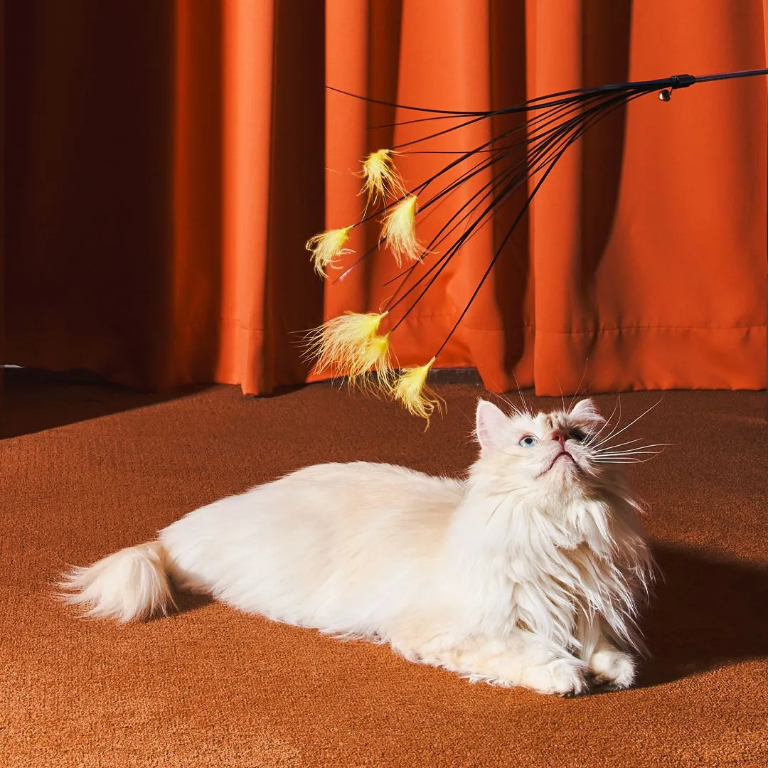 우다다맨숀 허리케인 낚시대 