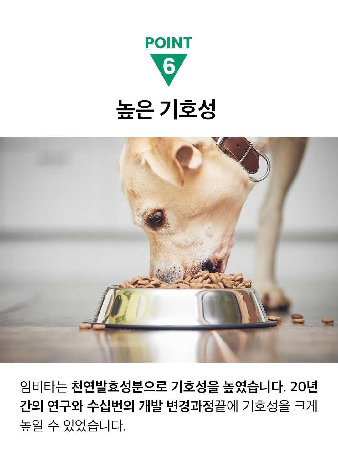 임비타 독 면역강화제 관절 플러스 150g 6번째
