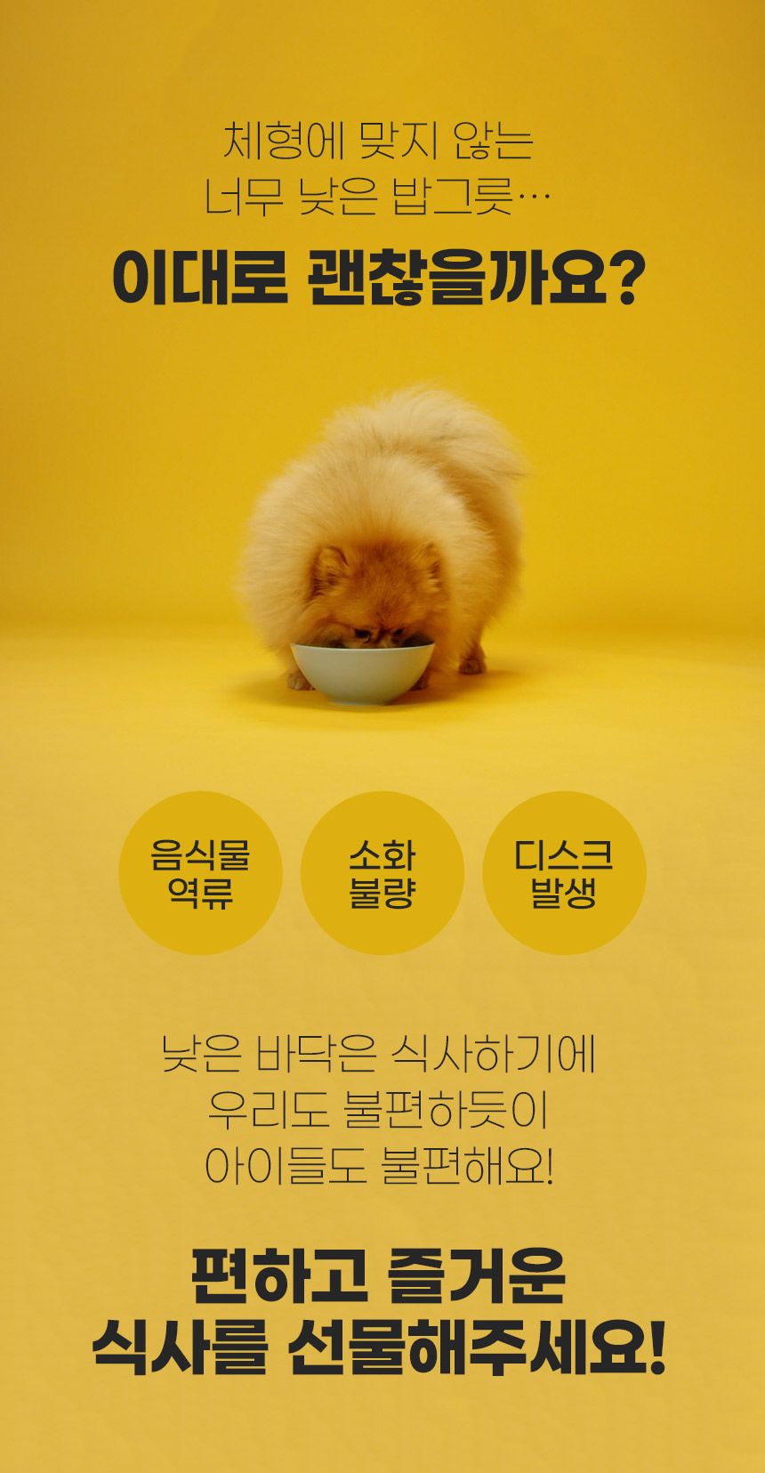 코코시루 자동 급식기 받침대 (PFB3) 4번째
