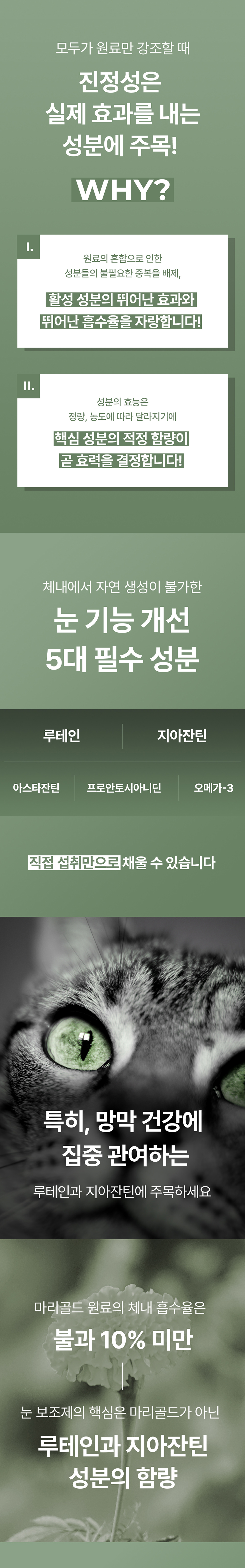 [NEW신상] [무료배송] 라이펫 진정성 LZ 루테인 지아잔틴 눈 영양제 2gx30포 8번째