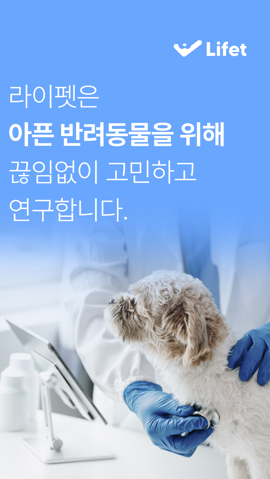 [NEW신상] [무료배송] 라이펫 진정성 LZ 루테인 지아잔틴 눈 영양제 2gx30포 1번째