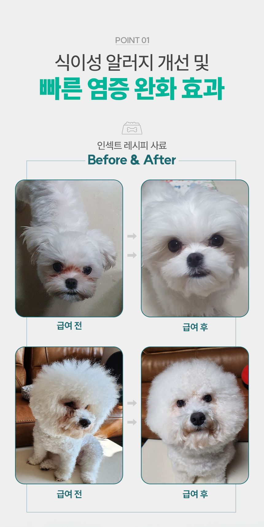 [체험단] [3개] 네이처알로 인섹트 레시피 40g 4번째