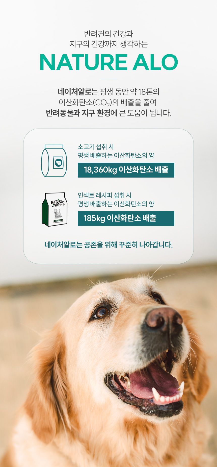 [체험단] [3개] 네이처알로 인섹트 레시피 40g 3번째